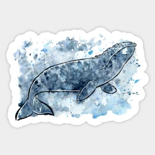 Grey Whale Splash Sticker